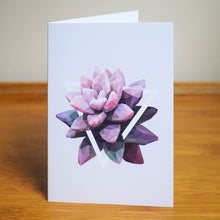 Graptopetalum Pink Greeting Card