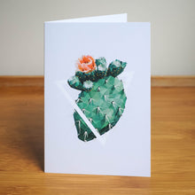 Succulent Greeting Card Set — 5 Blank Cards