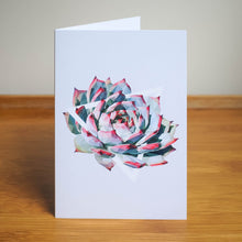 Echeveria Colorata Greeting Card