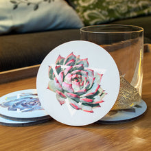 Succulent Coaster Set — 4 Coasters