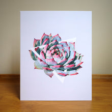 Echeveria Colorata Art Print — 8 × 10 in