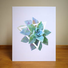 Graptopetalum Art Print — 8 × 10 in