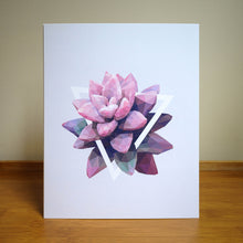Graptopetalum Pink Art Print — 8 × 10 in