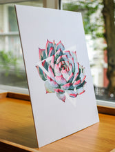 Echeveria Colorata Art Print — 8 × 10 in
