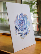 Ghost Echeveria Art Print — 8 × 10 in