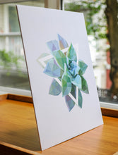 Graptopetalum Art Print — 8 × 10 in