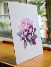 Graptopetalum Pink Art Print — 8 × 10 in