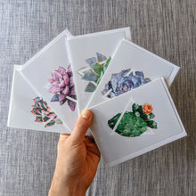 Succulent Greeting Card Set — 5 Blank Cards
