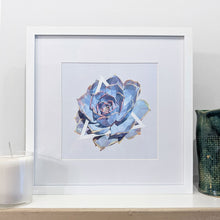 Ghost Echeveria Art Print — 8 × 10 in