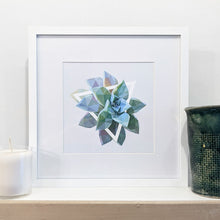 Graptopetalum Art Print — 8 × 10 in