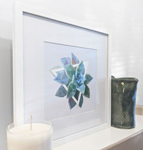 Graptopetalum Art Print — 8 × 10 in