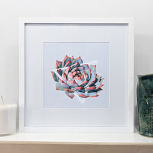 Echeveria Colorata Art Print — 8 × 10 in