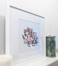 Echeveria Colorata Art Print — 8 × 10 in