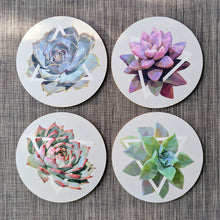 Succulent Coaster Set — 4 Coasters