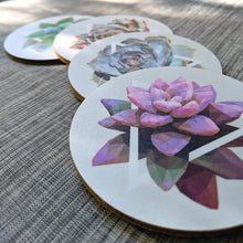 Succulent Coaster Set — 4 Coasters